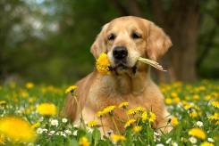 70fbb57031ff4bd53d08198ca31b86dd_245