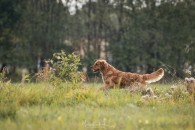 710539ee0440efc540cf5ecc9c91eaed_195