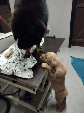 711fc975182b51da519f309476e78bf5_174x232_fill