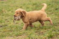 712ddaf648219d42767234d94c2ea387_195x130_fill