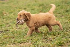 712ddaf648219d42767234d94c2ea387_246x164_fill