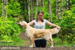 71a25654fe7d0ed31c6884834f12215e_245