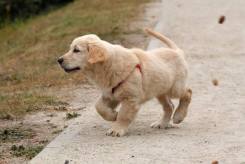 71ad2321958fe26c481b0481b0480e6d_245