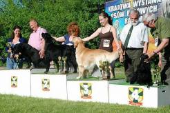 71e7ab87f6896226369c7ea7d7270e8a_246x164_fill