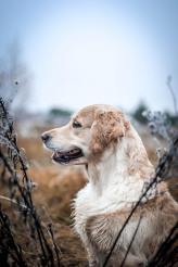 71f3f3ae85d1ce6e6b08b8983ec420c8_164x246_fill