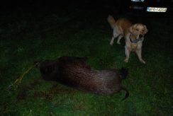 7223db89714a3bc69388e42504f57aca_244