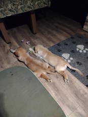 7245128eeea67bd7cb28375c969e750f_174x232_fill