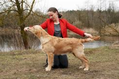 72a1ee282aa986b9e81b224f05098944_245