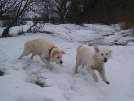 72a36bc1ca7b1339e032ea8fa07ba4ca_461