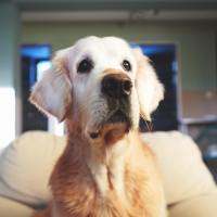 72da1deb7637f92a4bfb77d5dcc4a2a5_200x200_fill