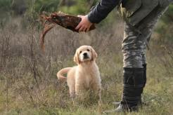 731e16a7ab86f57076a1d3dafd91c5bd_246