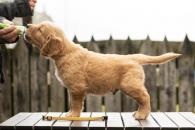 735412e698fb0c9bfce7a69a2b02465f_195x130_fill