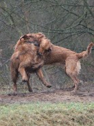 735ef7e2dc43edbd0bd68687a4a94b3a_138x184_fill