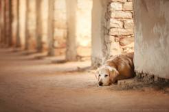 735fe4a27382f7aa9baa2335d9b4f17f_246x164_fill