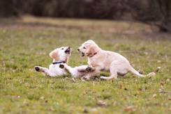 736c7c65d82ea6c464f79a892c506c68_245