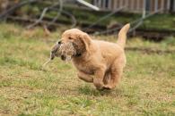 7380feab9df5f96a3b8b21d5c5ee244f_195x130_fill