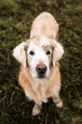 73bfdf4d72ab8ffde76f9a4c53321ba8_164x246