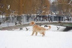 73ca5c0bc92bcb3536030eb051e05c99_244