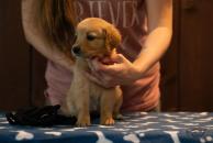 73f5854b5de395e9192f416ca053fb13_194