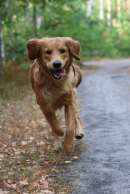 7405b3c5ac01161c7fbffcbbe3221322_130x194