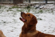 7436d94779789200aaf21e3b50dc2ac8_195