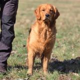 745c74e6ce86000fc492a5630df018f0_160