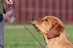 7489c808e55078956ef015c9989781db_245