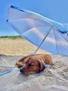 749c15e9b13bee2a9dd1139182433851_138x184_fill