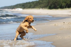 74c538deb0c17877de0868e11f891f24_246