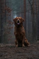 74e4c27cb30ed8aeac72af872dbaeaeb_130x195_fill