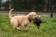 74e869054f23213962462508b5006627_195