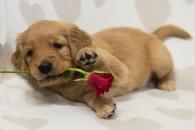 74f0211534fd1a7b1dc9d2a9ca24fbc9_195x130_fill