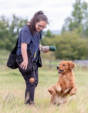 7506b72ea6048775a915a067a9a66c0e_176x227