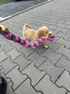 751f91901cdeb0f83c813aae5a29417d_138x184_fill