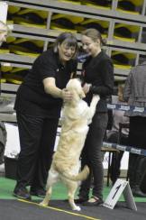 755eb83a2465e6336373e1beb78119e7_162x244