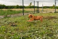 75db168cb0980ec84b49a8f0df178552_194