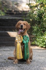 765d4cdaeffedae01dc0ec82b61a4e4d_164x246