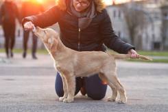 7670837d7339bf0e3c0f63f2fb2fe79d_245