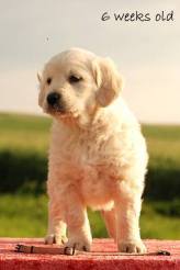 767705e3e2d73979e77da28b3cacaf46_164x246_fill