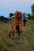 7684369c32275e30912be492ea85464d_130x195