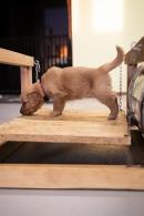 76b930de51b3f358e46888ba715fd0ac_130x195_fill