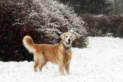 76d0fa0e8d54a59e4ed4e8106576b73b_246x164_fill