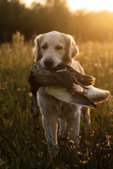 776404bcdc19fc05283403f233826a51_164x246