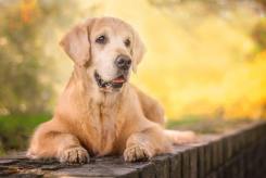 7785f8253aa6167f4b18faee90a59c69_245