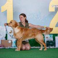 77902fc6105c943b33b26b23c546cb4d_200x200_fill