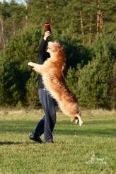 783672938e5c93ed247f7f2ecaf78cba_164x246