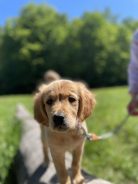 7853d55865ca18b334c66664cdc24827_138x184_fill