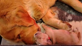 785715bec04f8c5a48b209776fbeaea5_266