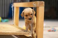 7888211ff1467ba4f305ae9ed4b0830f_195x130_fill