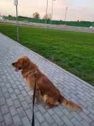 789fb89404a978e130b478b105a0b95b_138x184_fill